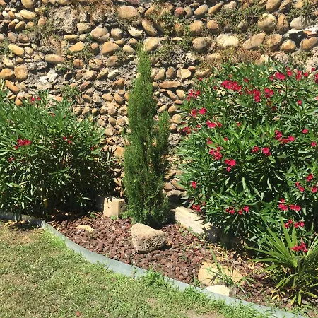 Le Charles Ix * Roussillon (Isere)