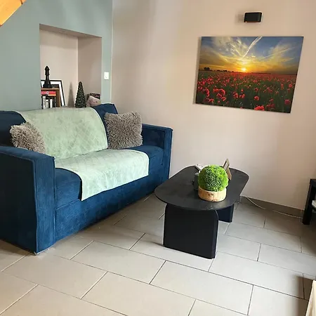 Le Charles Ix Apartament Roussillon (Isere)